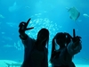 奈良甘樫高等学院(通信制慶風高校奈良サポート校)